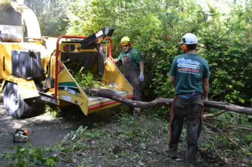 tree services Round Valley